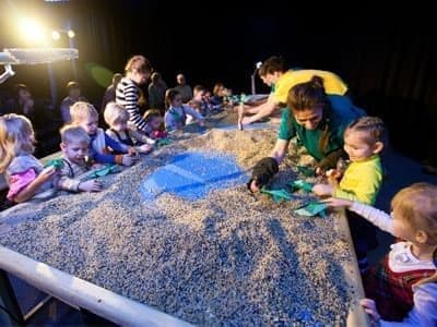 Фестиваль "Большая Перемена" Фестиваль "Большая Перемена"