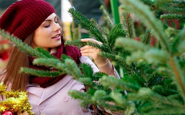 Елочные базары 2018. Где купить елку в Москве. Елочные базары 2018. Где купить елку в Москве.