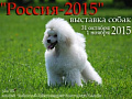 Выставка собак всех пород "Россия-2015" - Архив Выставка собак всех пород "Россия-2015" - Архив