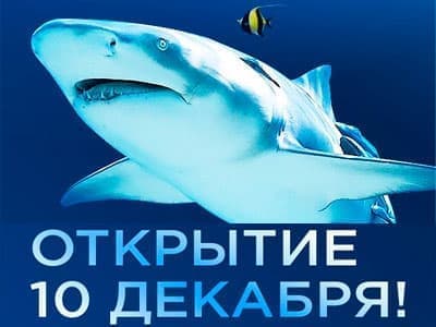 Открытие "Крокус Сити Океанариума" Открытие "Крокус Сити Океанариума"