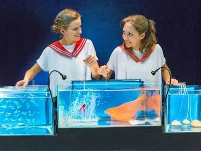 Спектакль "Крошечный океан" - Архив спектаклей Спектакль "Крошечный океан" - Архив спектаклей
