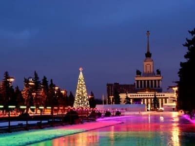 Новогодние гулянья на ВДНХ 2017 Новогодние гулянья на ВДНХ 2017