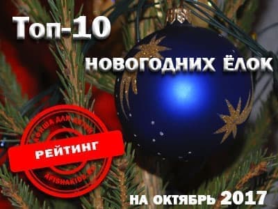 Топ-10 Новогодних ёлок на октябрь Топ-10 Новогодних ёлок на октябрь