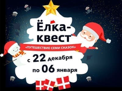 Новогодние Крокус Новогодние Крокус