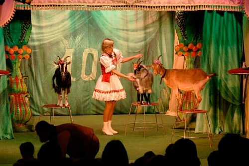 Спектакль "Забавляя - поучать" - Архив спектаклей Спектакль "Забавляя - поучать" - Архив спектаклей