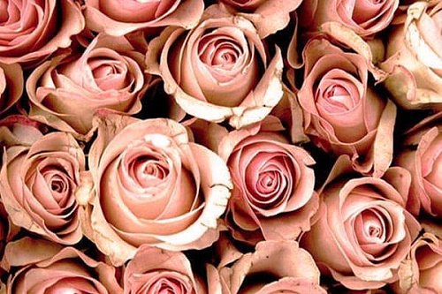 8 марта в парке Таганский - Архив 8 марта в парке Таганский - Архив