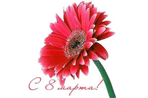 День любимой и любящей - Архив День любимой и любящей - Архив