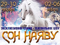 Театрализованное конное шоу "Cон наяву" - Архив елок 2018-2019 Театрализованное конное шоу "Cон наяву" - Архив елок 2018-2019