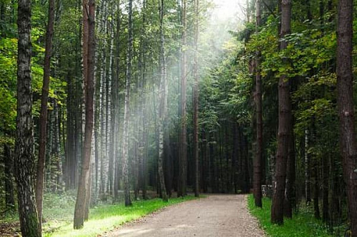 Парк Мещерский Парк Мещерский