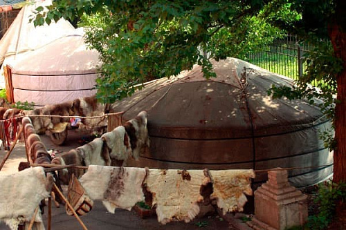 Музей кочевой культуры Музей кочевой культуры