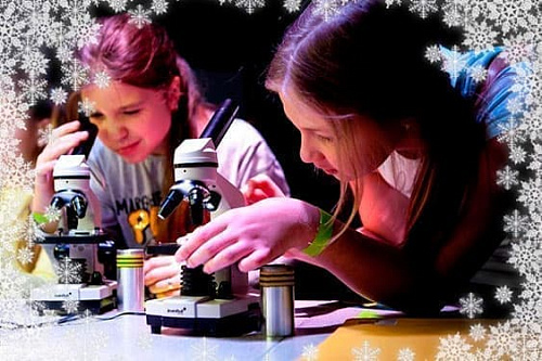 Новый год на Станции МАРС - Архив елок 2019-2020 Новый год на Станции МАРС - Архив елок 2019-2020