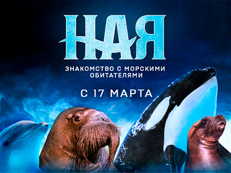 Шоу "Ная. Знакомство с морскими обитателями" - Архив спектаклей Шоу "Ная. Знакомство с морскими обитателями" - Архив спектаклей