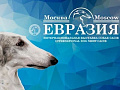 Выставка собак "Евразия 2019" - Архив Выставка собак "Евразия 2019" - Архив