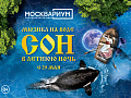 Шоу "Сон в летнюю ночь" - Архив спектаклей Шоу "Сон в летнюю ночь" - Архив спектаклей