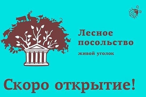 Живой уголок - Архив Живой уголок - Архив