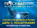 Водное шоу "Кругосветное путешествие" - Архив спектаклей