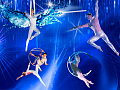 Цирковое шоу "Ледяное..." - Архив Цирковое шоу "Ледяное..." - Архив