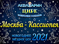 Новогоднее шоу в цирке Аквамарин "Москва - Кассиопея" - Архив елок 2020-2021 Новогоднее шоу в цирке Аквамарин "Москва - Кассиопея" - Архив елок 2020-2021