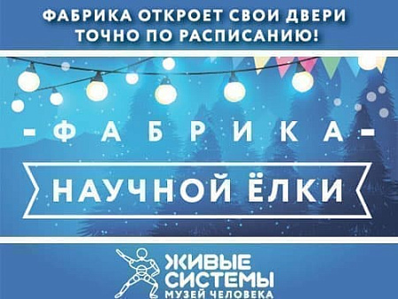 Фабрика Научной Елки - Архив елок 2019-2020 Фабрика Научной Елки - Архив елок 2019-2020
