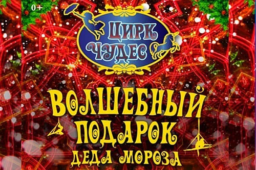 Новогодние елки в Цирке Чудес - Архив елок 2016-2017 Новогодние елки в Цирке Чудес - Архив елок 2016-2017