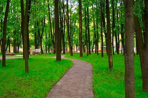 Бабушкинский парк Бабушкинский парк