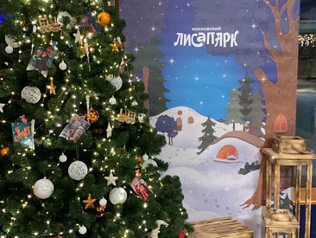 Новогодние елки в Московском ЛисаПарке - Новогодние елки Новогодние елки в Московском ЛисаПарке - Новогодние елки