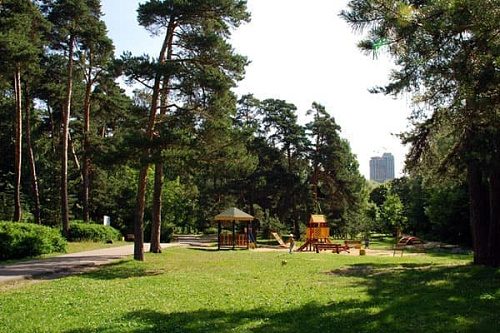 Лесопарк Серебряный бор Лесопарк Серебряный бор