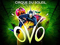 Шоу OVO от Cirque du Soleil в Москве - Архив Шоу OVO от Cirque du Soleil в Москве - Архив