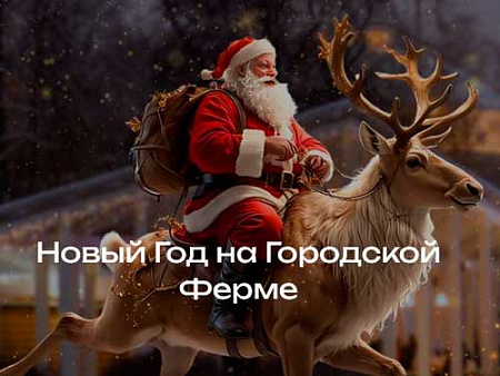 Новый Год на ферме. Резиденция Деда Мороза - Новогодние елки Новый Год на ферме. Резиденция Деда Мороза - Новогодние елки