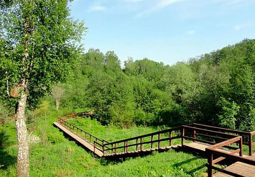 Природный парк Долина реки Сходни в Куркино Природный парк Долина реки Сходни в Куркино