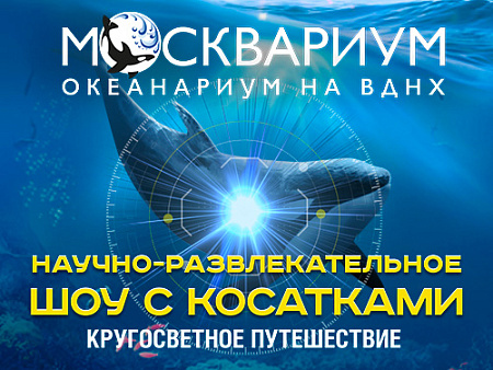 Водное шоу "Кругосветное путешествие" - Архив спектаклей Водное шоу "Кругосветное путешествие" - Архив спектаклей